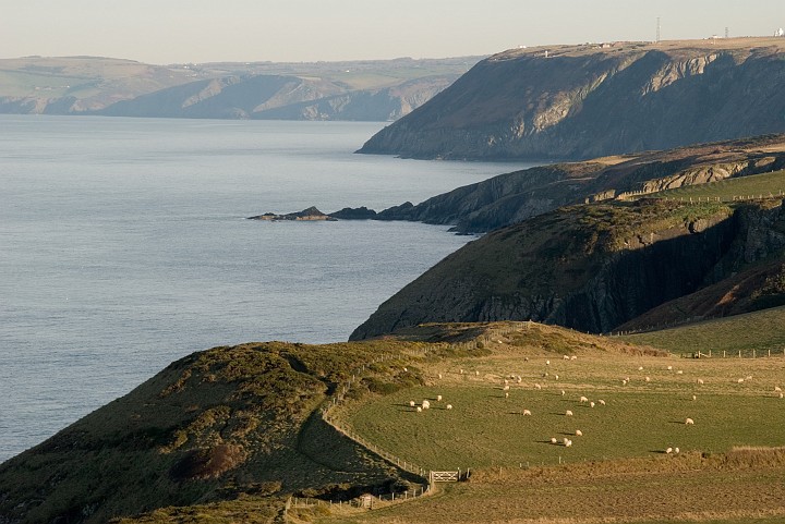 DSC_5150.jpg - View of the headland by Mwnt Beach